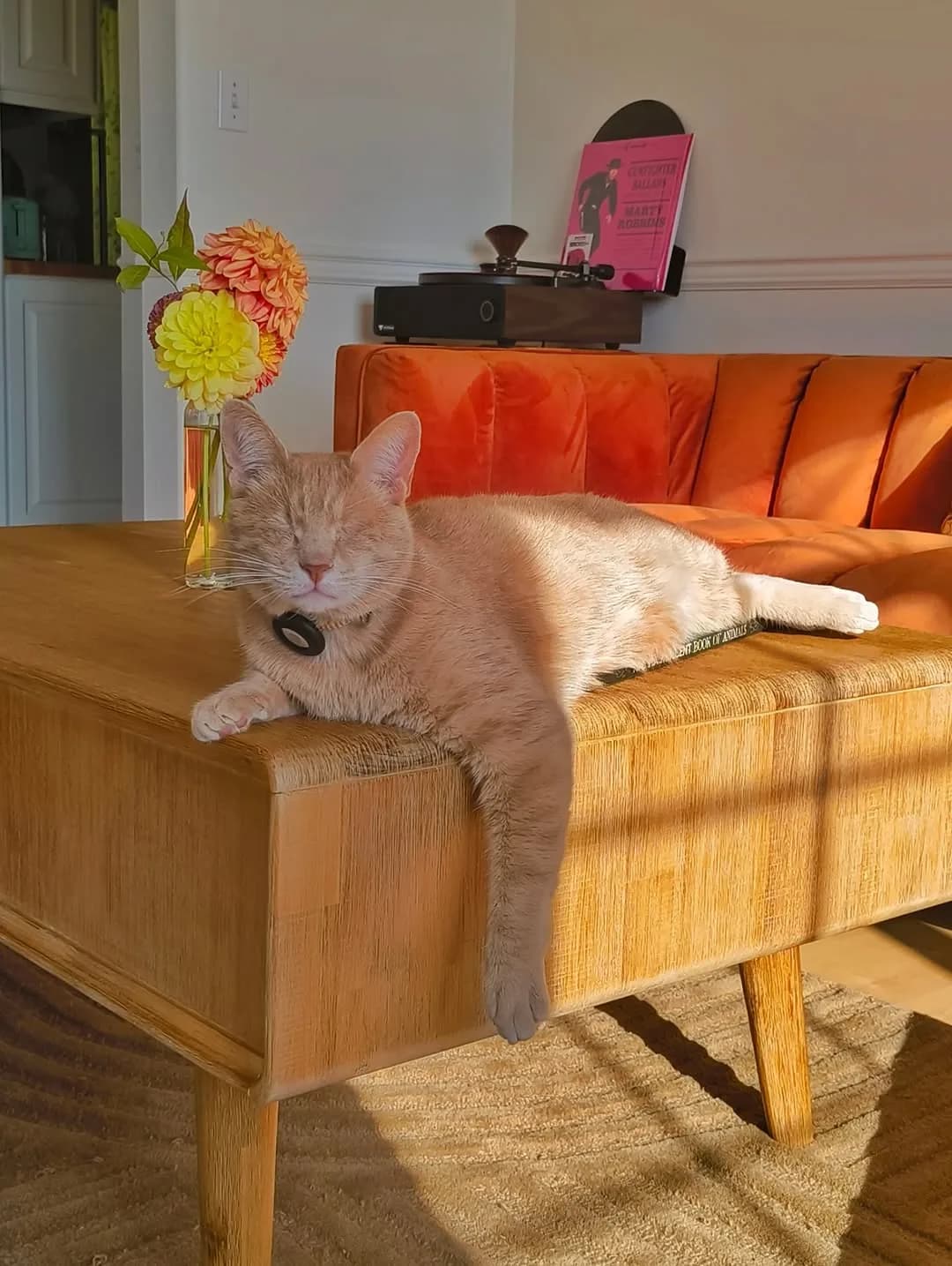 George adds himself to the fall color palette at our pad.