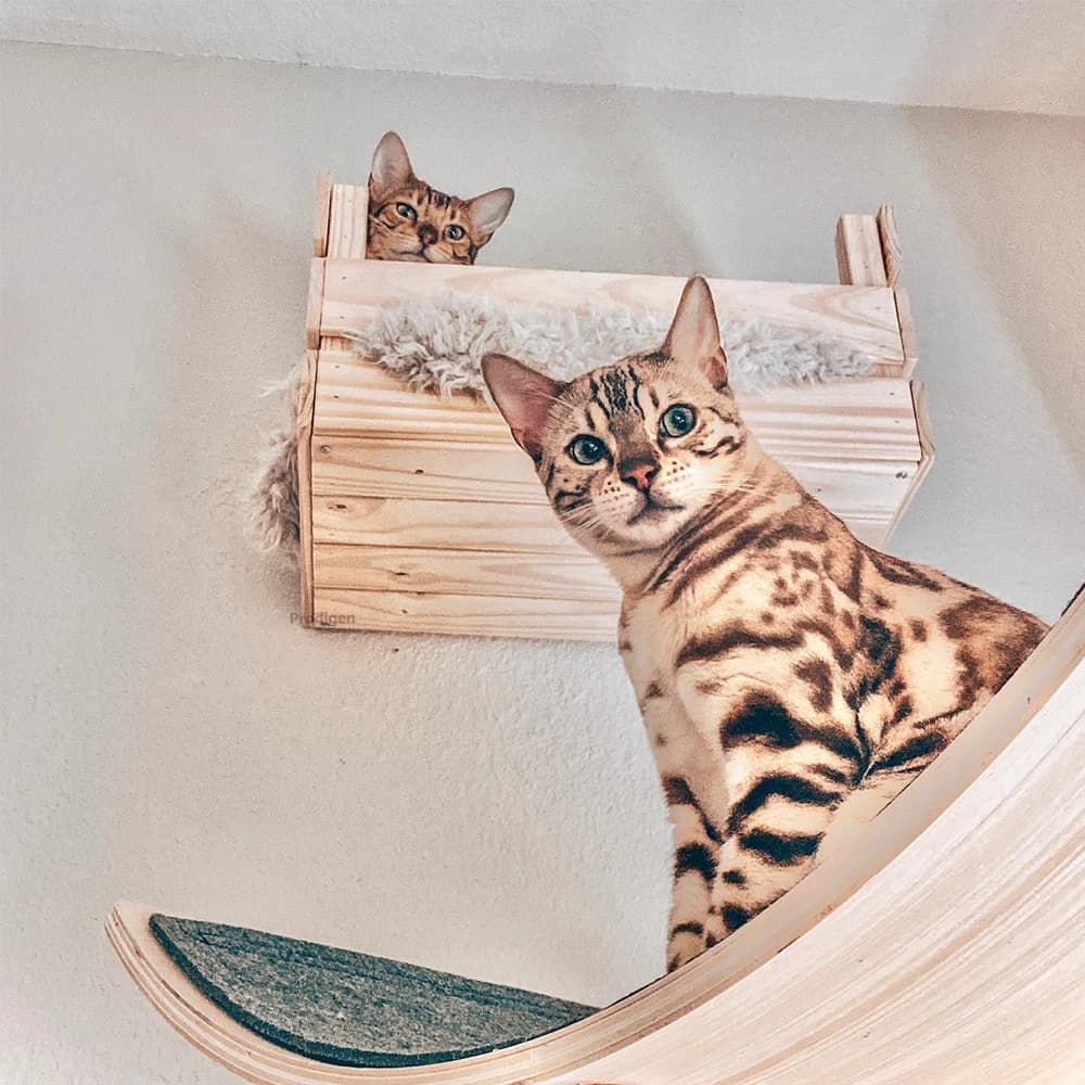 Modern Floating Wood Cat Perch - alternate view